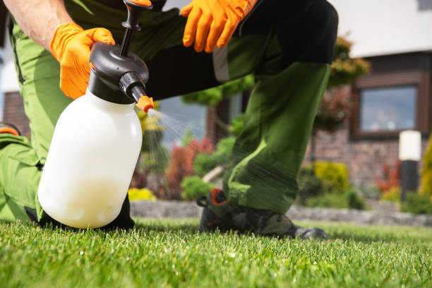 Best Termite Control Services  in Vonore, TN