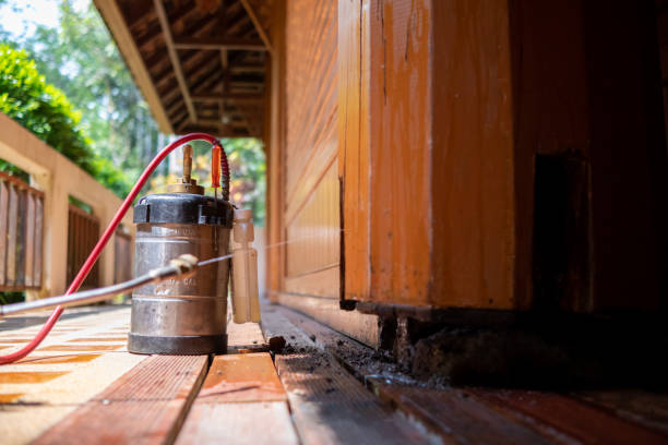 Best Wasp Removal Services  in Vonore, TN