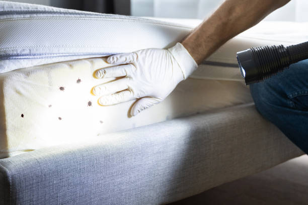 Best Local Pest Control Services  in Vonore, TN