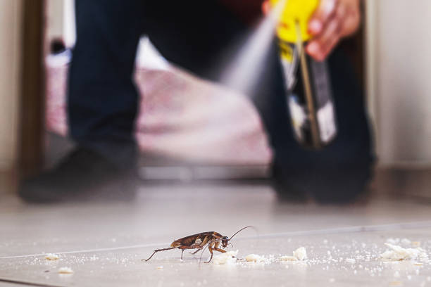 Best Mosquito Control Services  in Vonore, TN