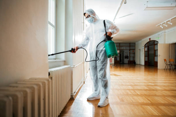 Best Insect Control  in Vonore, TN